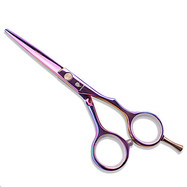 Профессиональный 5.5inch Дизайн Парикмахерские ножницы Ножницы Set (2шт)