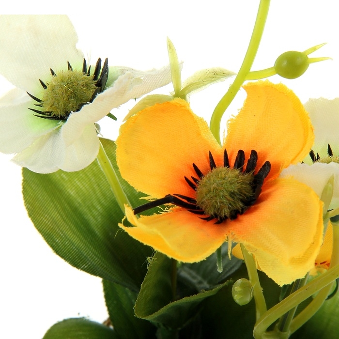 Композиция горшок 16 см космея