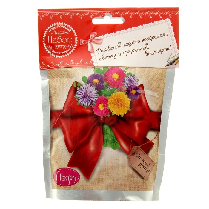 Растущая трава Астра, в подарочном пакете