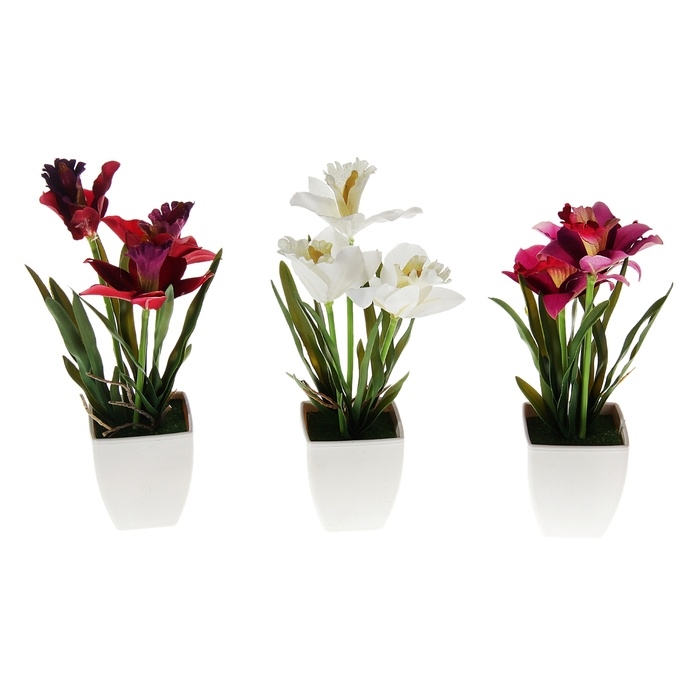 Композиция в горшке 25*7 см ирисы