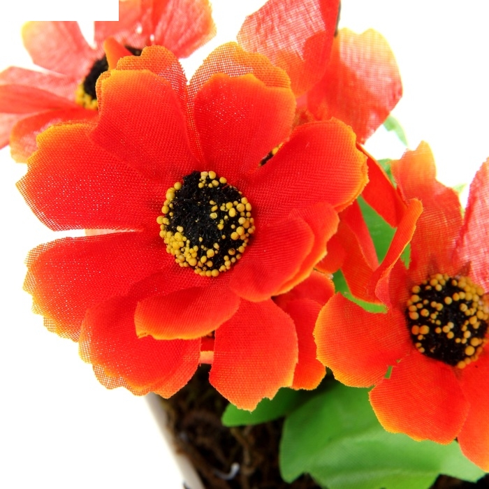 Композиция в горшочке трапеция 16*6,5 см космея