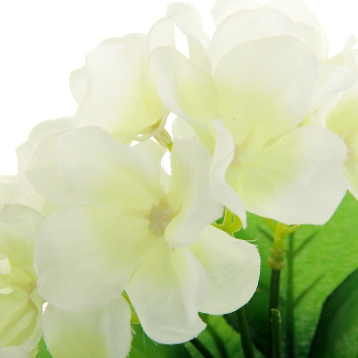 Букет 24 см фиалки