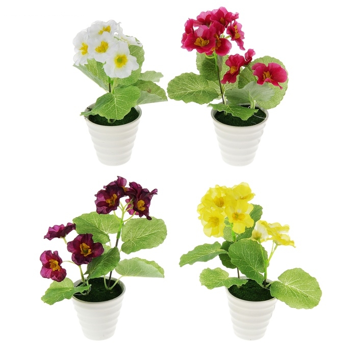 Композиция в горшке 20*7 см герань домашняя