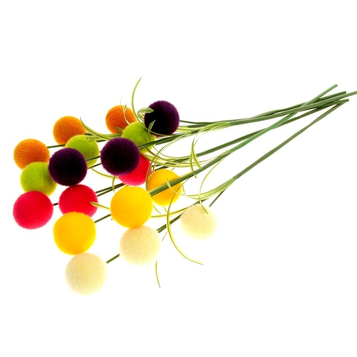 Цветы Шар средний