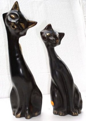 Кошка с левым наклоном головы