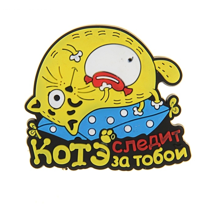 Магнит Котэ следит за тобой