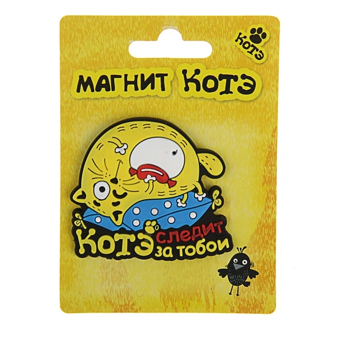 Магнит Котэ следит за тобой