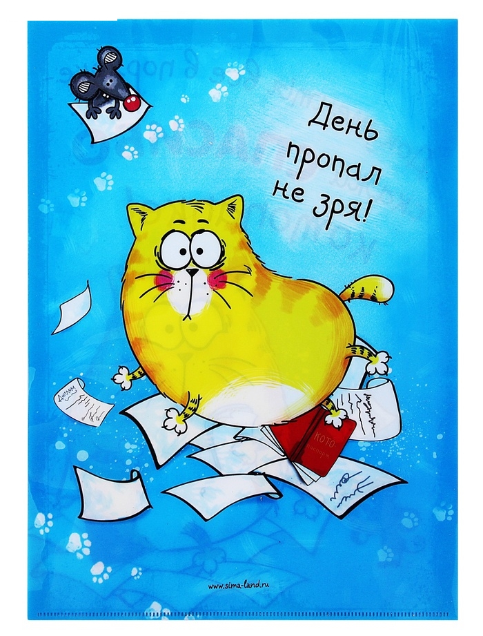 Папка для документов Котопапка