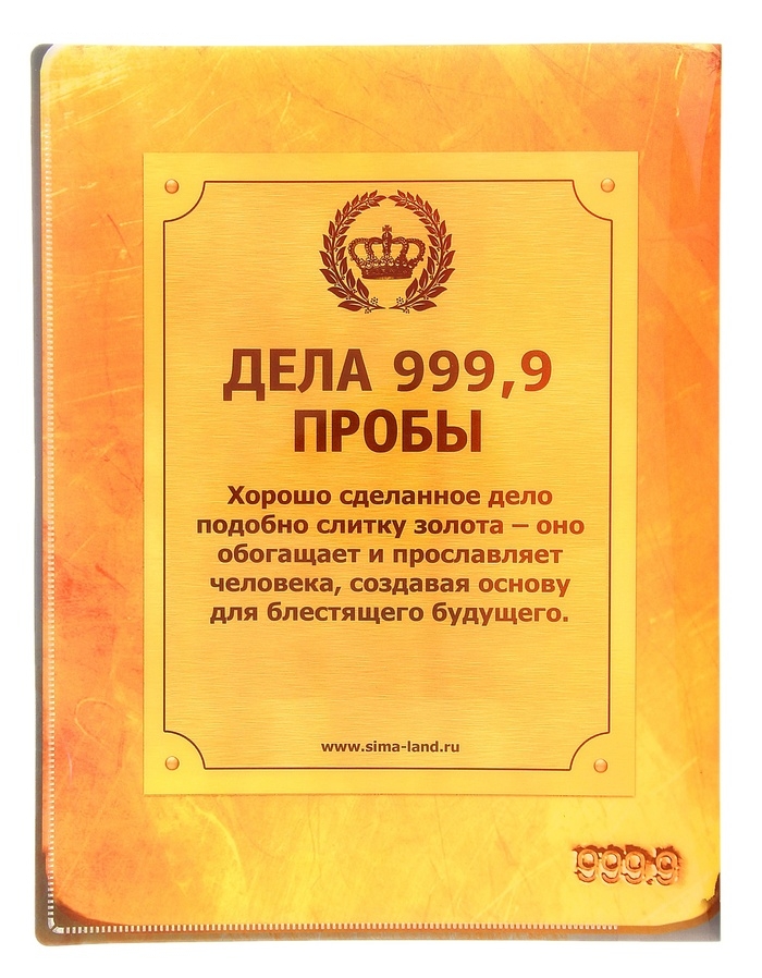 Папка для документов на 10 холдеров Золотые дела