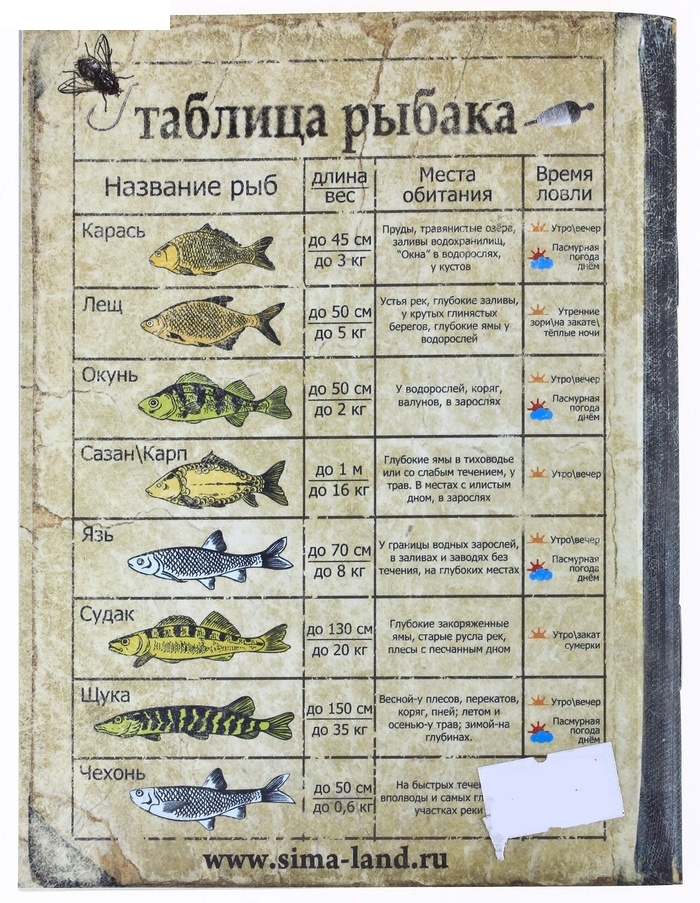 Блокнот Записки рыбака, 40 листов