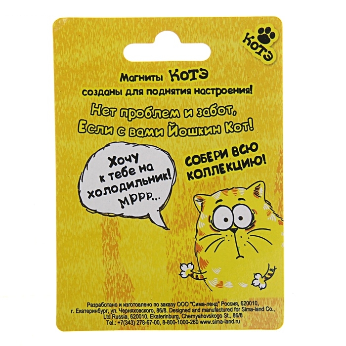 Магнит Покорми котэ