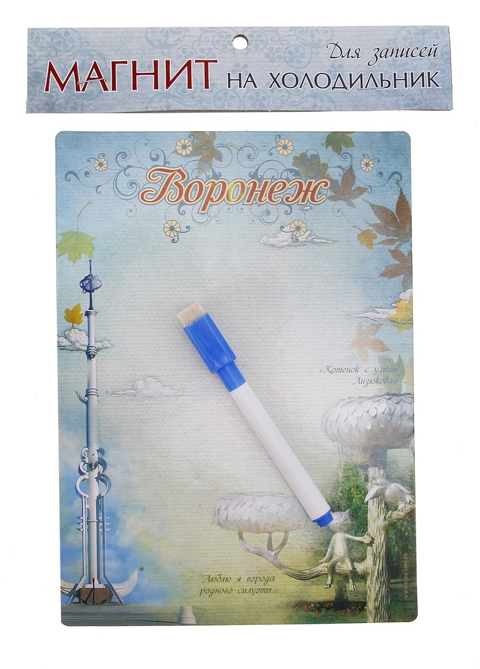 Магнитная доска картон Воронеж 22,4*15,8см
