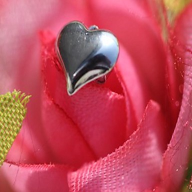 Классический женский Серебряный Diand Стад Серьги (1 пара)