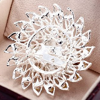 Свадебный стиль Элегантный Посеребренная горный хрусталь брошь (случайный цвет)