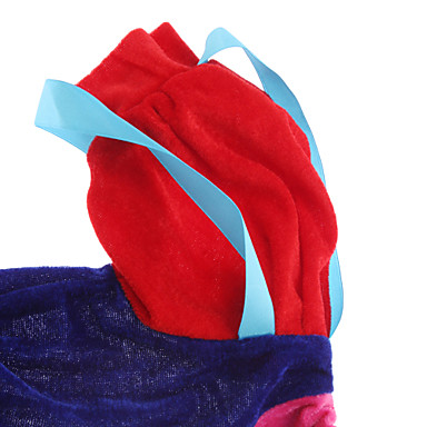 Принцесса ткань для Хеллоуин костюм участника